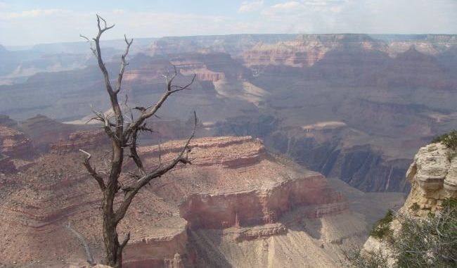 Blick in den Grand Canyon National Park in Arizona