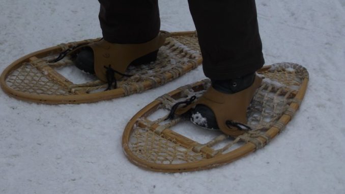 Schneeschuhwanderung