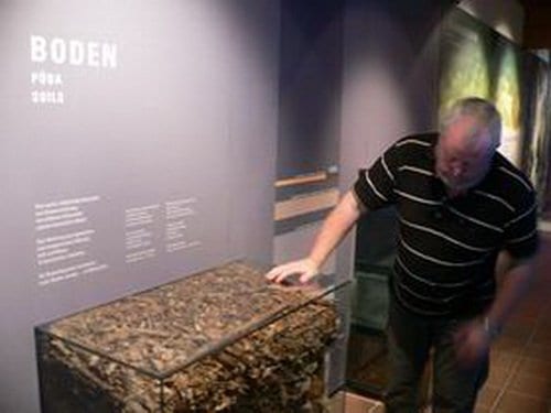 Waldgeschichtliches Museum in Sankt Oswald (6)